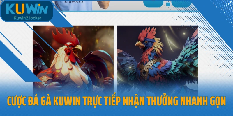 Cược đá gà Kuwin trực tiếp và nhận thưởng nhanh gọn